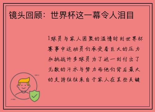 镜头回顾：世界杯这一幕令人泪目