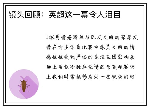 镜头回顾：英超这一幕令人泪目